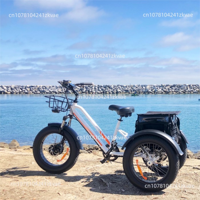 750W Fat Tire Electric Bicycle Three Wheel Electric Bike Adult Tricycle USA 48V 3 Wheel Electric Tr