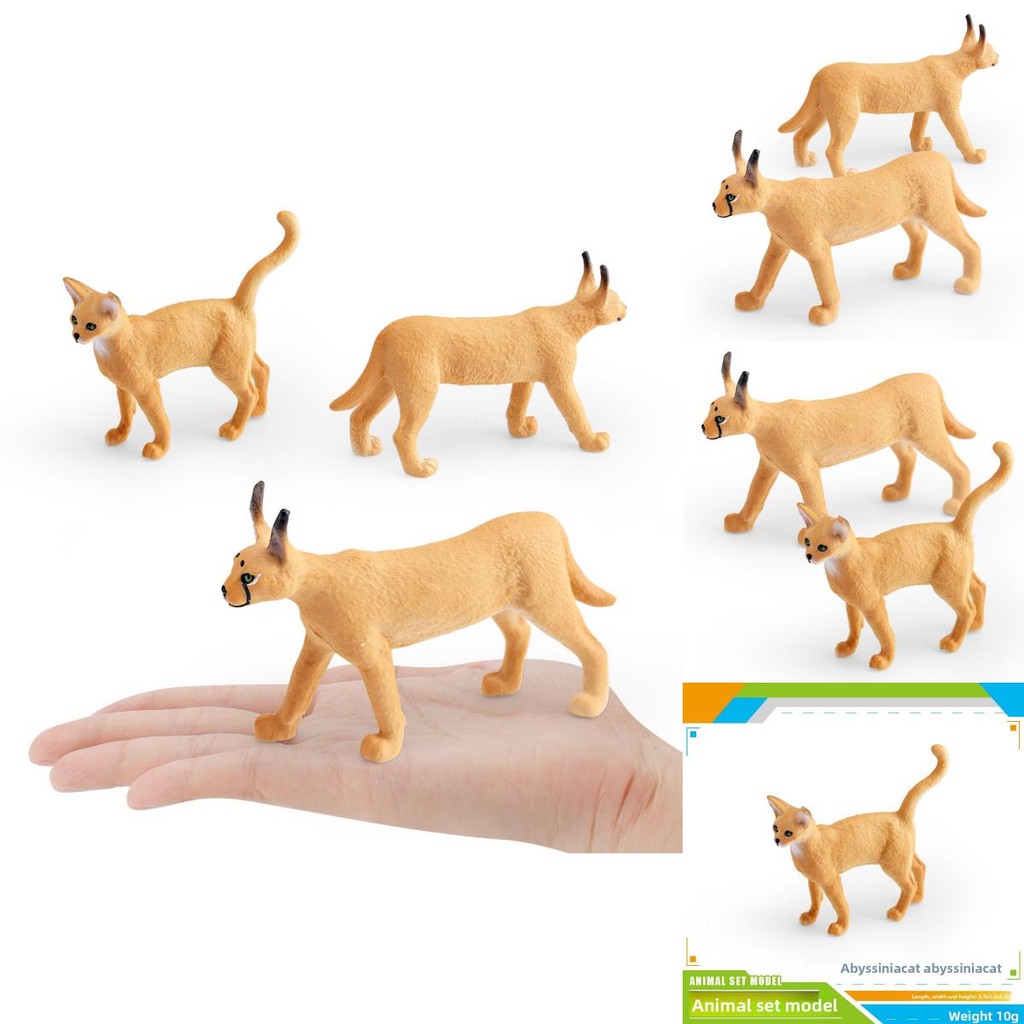 สัตว์ป่าเด็กแม่ Caracal Cat และ Abyssian Pvc Replica สําหรับการศึกษาใช้และตกแต่งห้องนอน