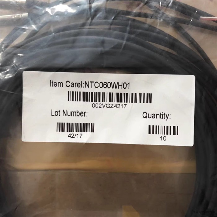 CAREL NTC060WH01 NTC Temperature Sensor Probe -50~105°C 6m Cable HVAC Refrigeration