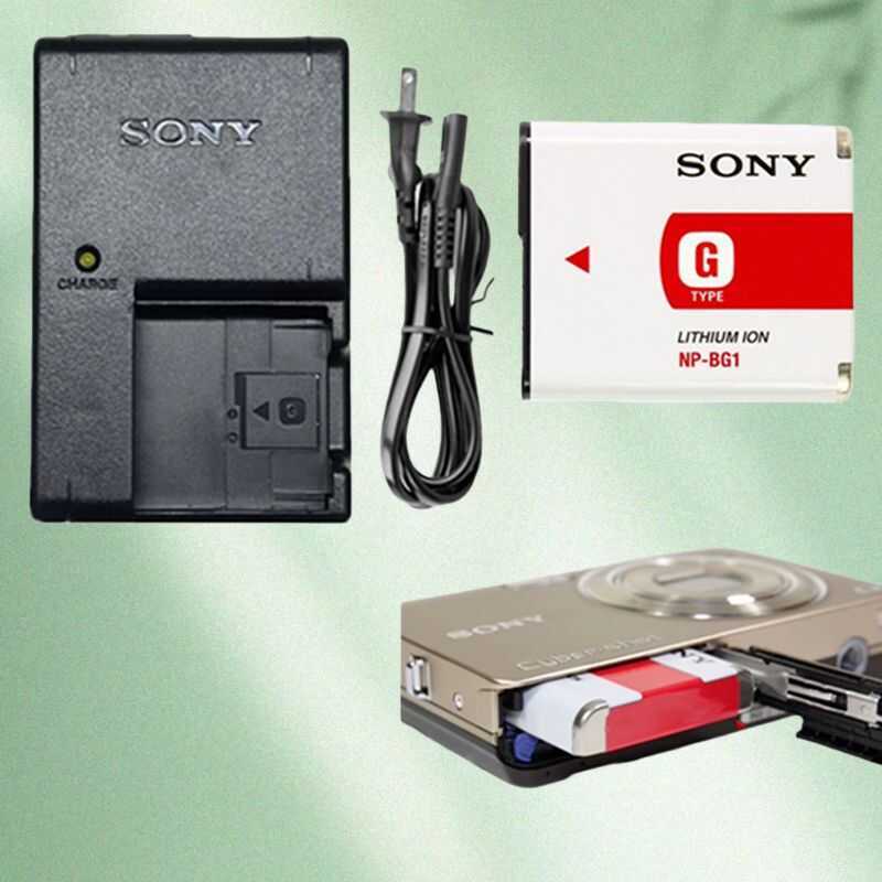 g1 Battery For Sony Dsc-H10 H20 H50 H55 H0 Hx10 Hx30 W20/ W300/ Wx1/W30/ W35/ W40/ W50/ N1/ N2/ N20