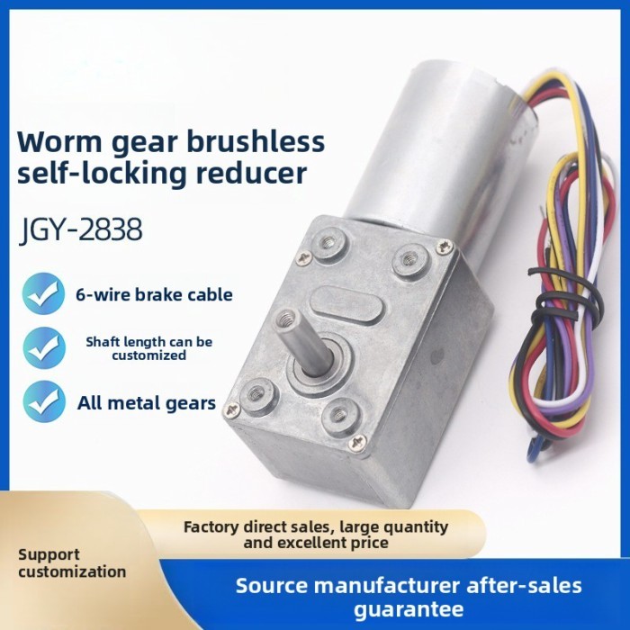 JGY-2838 Brushless DC 12V 24V Worm Gear Motor High Torque Reversible Self-lock 2026