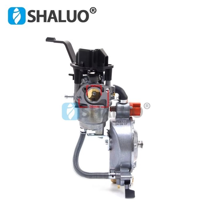 Hot Sale P19B Frequency Conversion LPG Carburetor For GX160 168F 170F 3KW 6.5HP Generator Dual Fuel