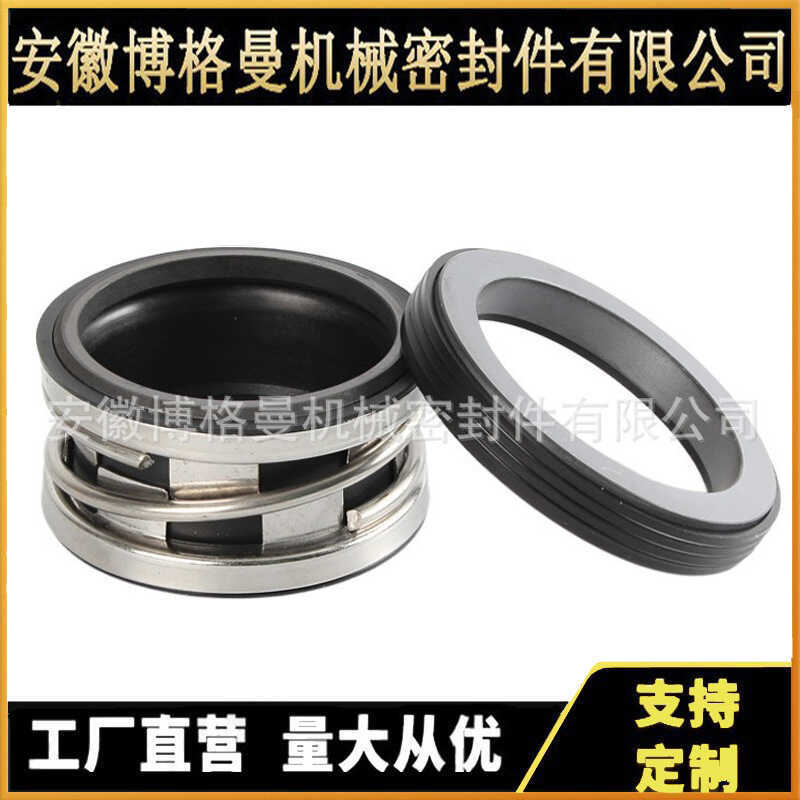 Anhui Borgman Machinery Sealing Factory Supply SLS100-250 Machinery Sealing Pump Machinery Sealing