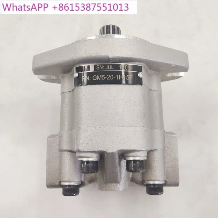 Hydraulic high-speed gear motor GM5-5/6/8/10/12/16/20/25-1F13S-20