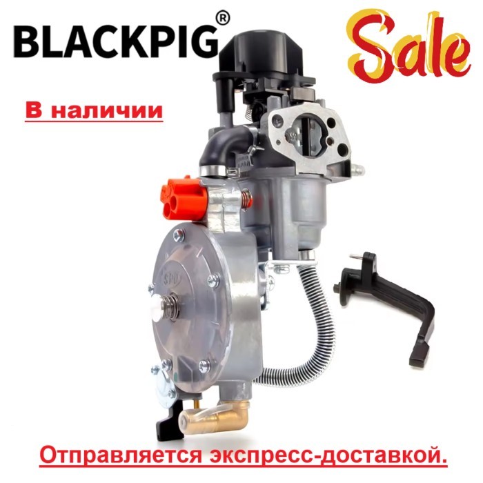 Hot Sale P19B LPG Carburetor For 168FB 170F 3HP 6.5HP Frequency Conversion Engine Carb Conversion A
