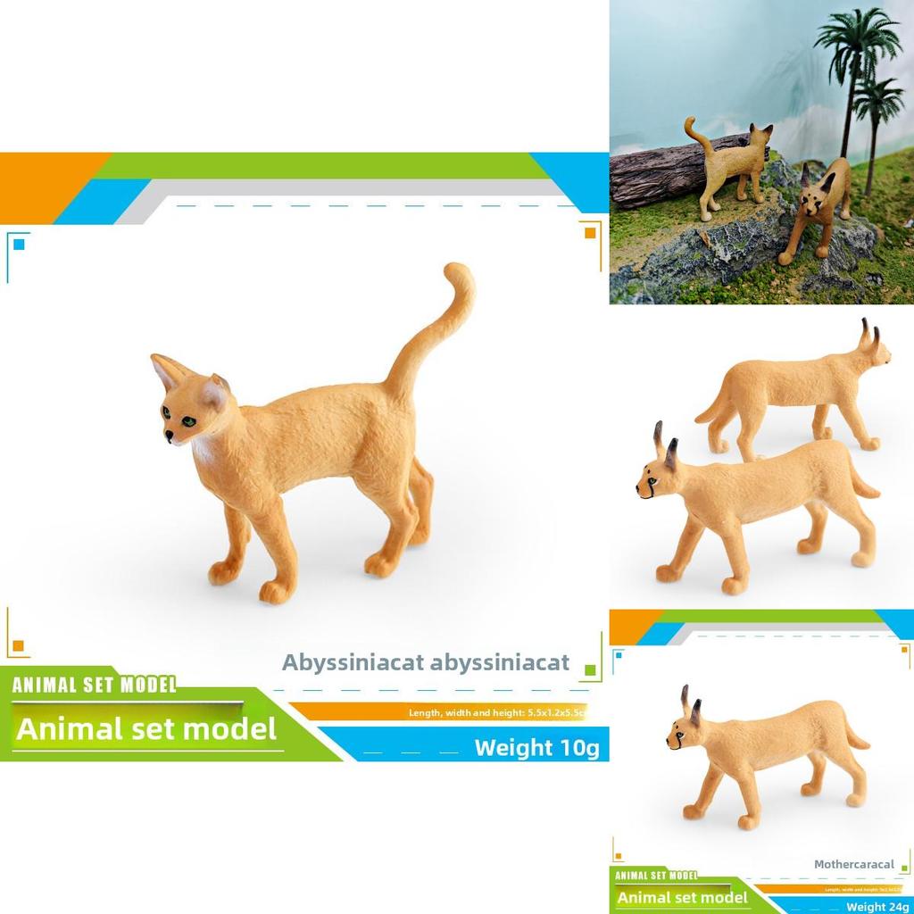 เด็กแม่ Pvc Caracal Cat และ Abyssian สัตว์สําหรับของเล่นเพื่อการศึกษาและตกแต่งห้องเด็ก