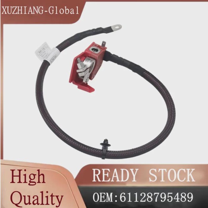 Brand New High Quality Positive Battery Cable 61128795489 61128796040 for BMW X5 G05 F95 Car Access