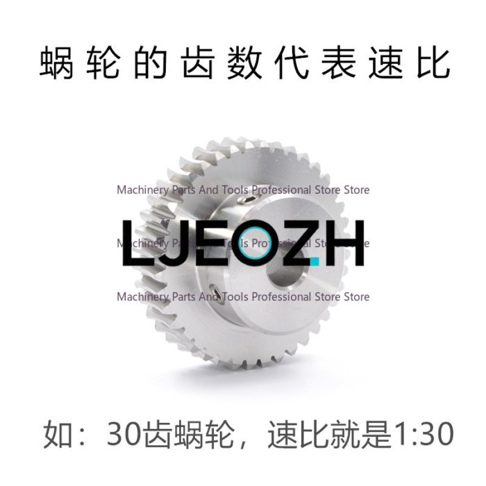 Stainless Steel Worm Gear Pair, Small Module Turbo Worm Gear
