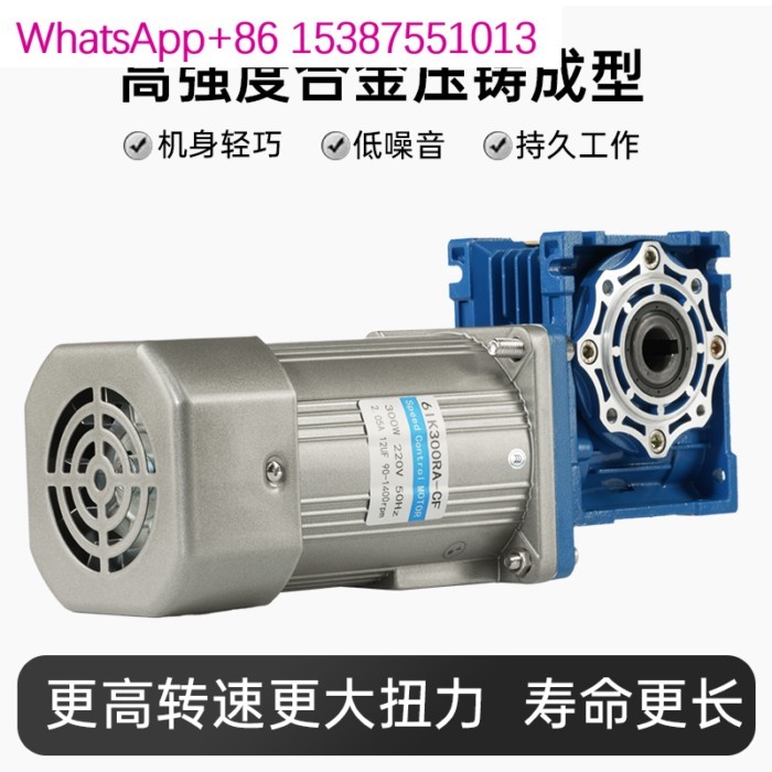 AC reduction motor RV040/050 turbine worm speed control motor 200w/250w/370W self-locking motor