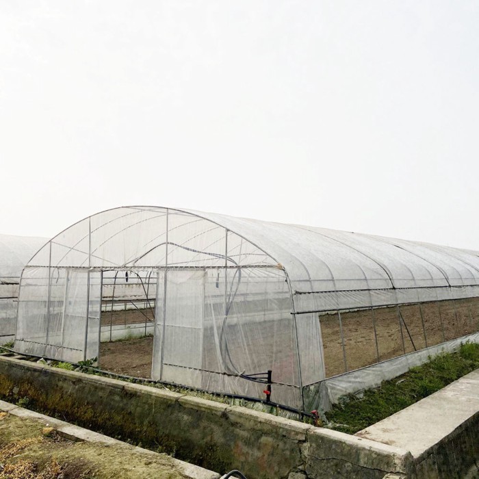 Large Single-Span Plastic Film Tunnel Greenhouse for Seedling Vegetable and Flower Garden