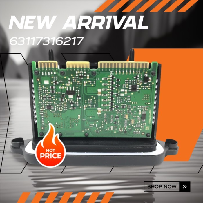 HKCY new For BMW Headlight Driver Unit 63117318327 63117316217 63127262731 Light Control Module 731