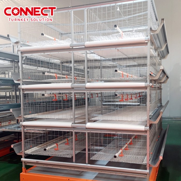 50000 Large Automatic Poultry Farm Automatic Broiler Feeder Chicken Battery Cage h Type System for