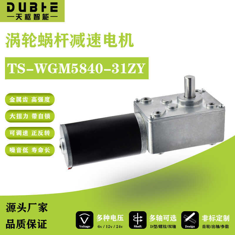 5840-31ZY Turbo Snail DC Gear Motor 12v24 Speed Regulating Self-Locking Gear แรงบิดขนาดใหญ่ Dual-Axi