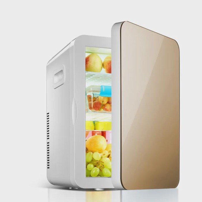 M 20L Kitchen Mini Refrigerators Fridge Freezer Small Refrigeration Frigobar Refrigerator Home Free