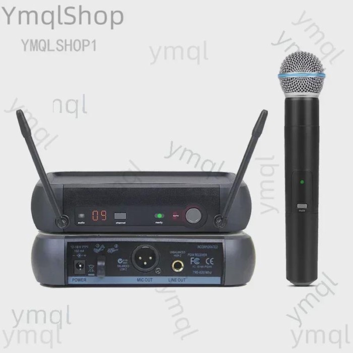 PGX4 And PGX24/BETA58A Wireless Microphone
