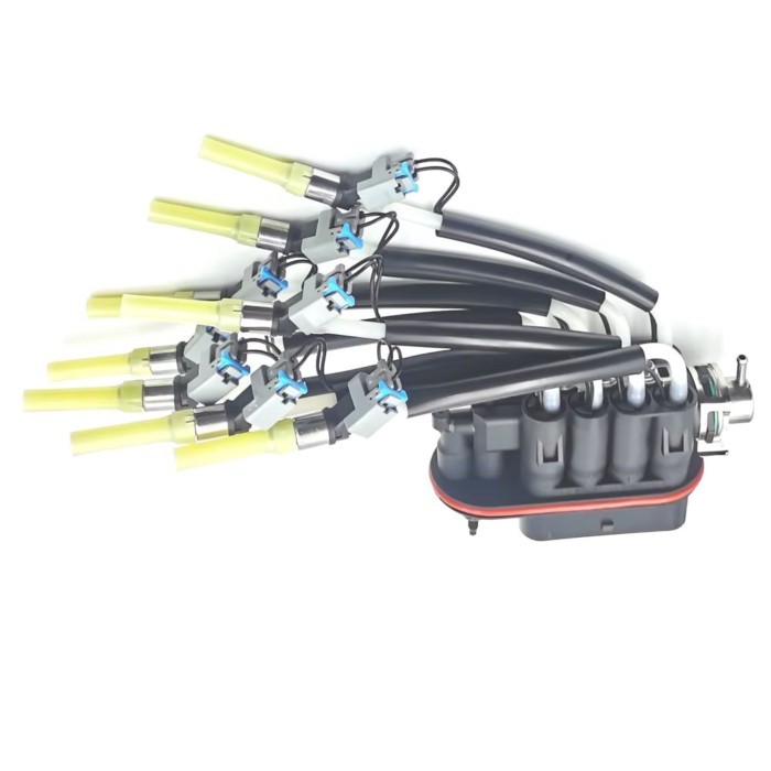 OE: FJ504 89060440 17114163 93441235 2173029 5340347  Car Fuel Spider Injector 8 Cylinder For Chevy