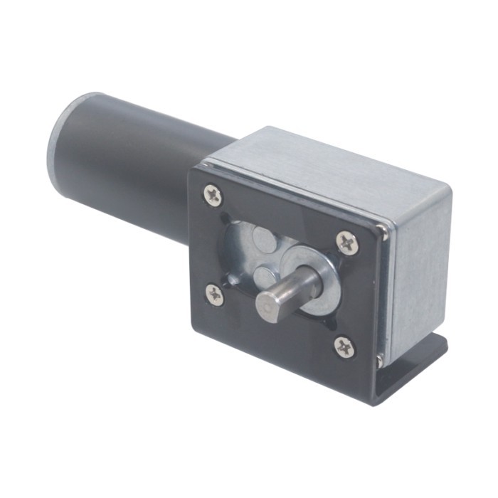 5840-31ZY Worm Gear Motor DC 12V/24V 7RPM~470RPM Speed Adjustable DC Gear Motor Miniature Small Mot