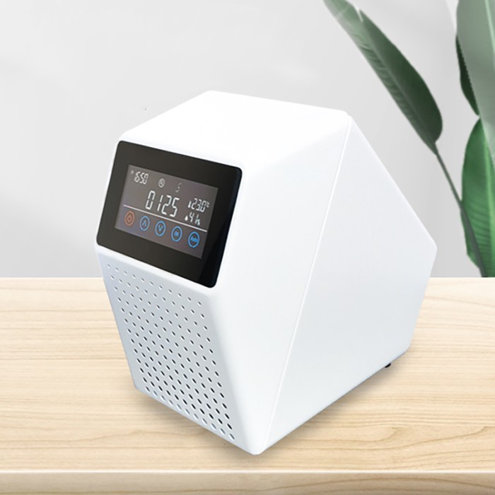 Professional Portable Industrial Medical Mini Ozone Generator Price 20g Portable Ozone Medical Ther