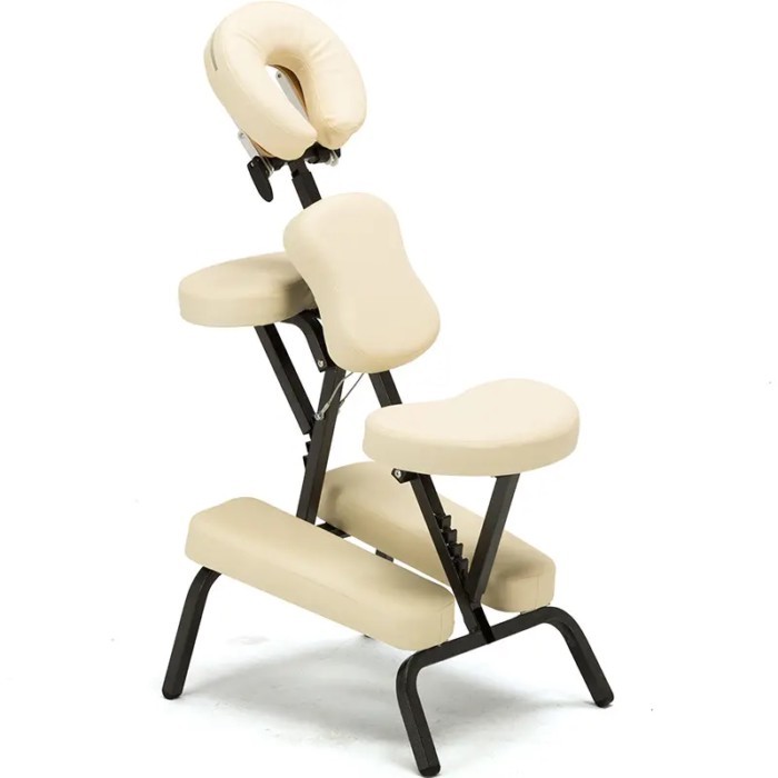 Tattoo Chair and Massage Table for  Salon