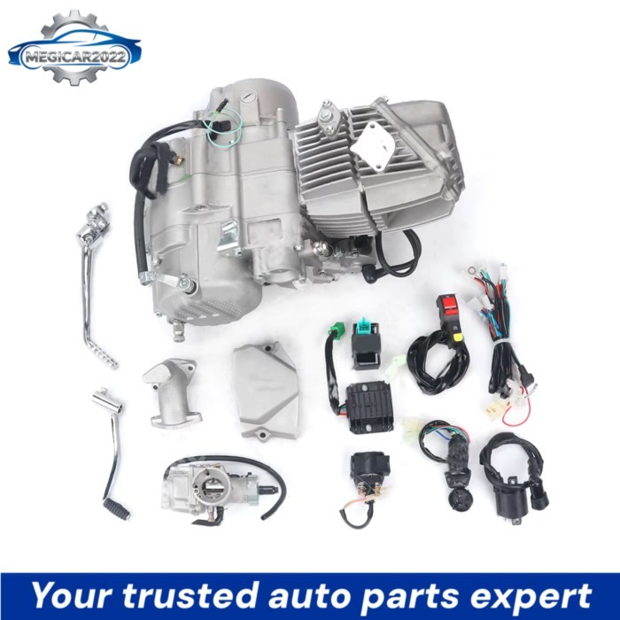 190CC New Engine for Zongshen 190CC ZS190CC Better Than Daytona Anima  YX150 ZS155 Engine Part with