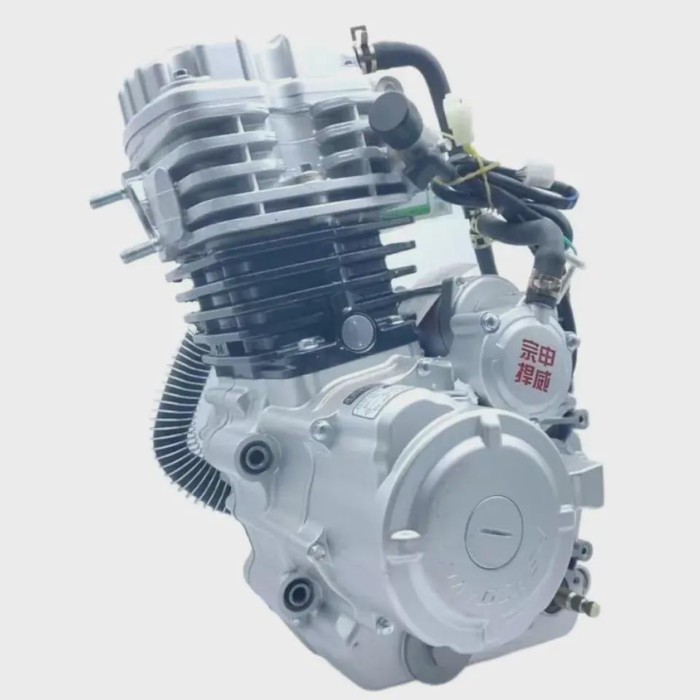 Hi-Valiant 300cc engine ZS174MN-2 water cooled CFW electric kick start engine with 5 gears for hon-