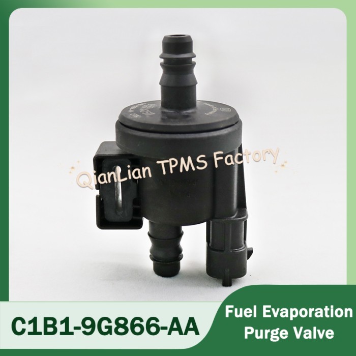 C1B1-9G866-AA Car Purifying Exhaust Steam Solenoid Valve Fuel Evaporation Purge Valve For Ford Fies