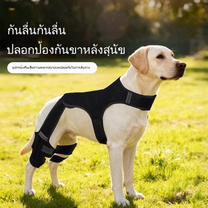 สายช่วยเข่า hind leg ของสุนัข เครื่องมือช่วยฟื้นตัวสำหรับสุนัขชราและสุนัขมีอุบัติเหตุ ป้องกันบาดเจ็บและสึกหรอ ปรับได้และอากาศไหล