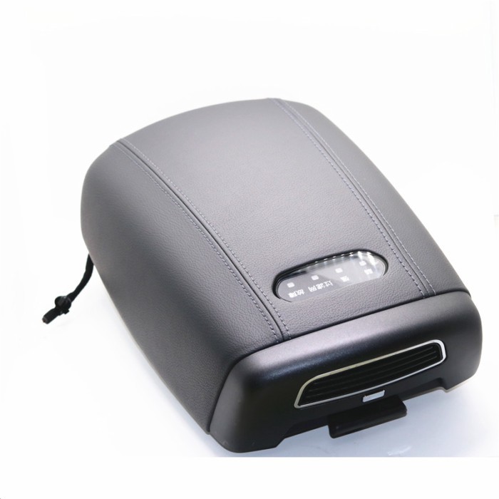 846602W000 FOR Hyundai Santa Fe Air Purifier Handrail Cover Cover Air Filter Greenhouse Oxygen 8466