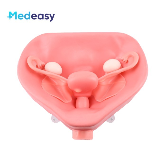 Gynecological Training Modules for  Simulator Trainer -- Pelvic Model