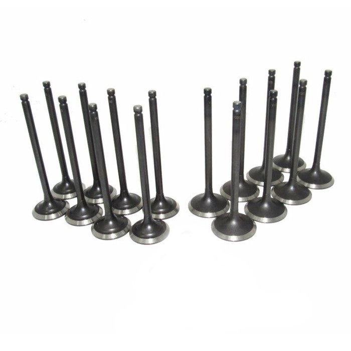 Engine Intake & Exhaust Valves For Subaru & Saab 2.5L EJ255  04-14
