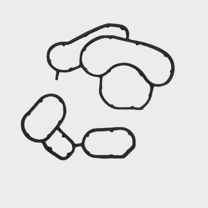 Engine Oil Filter Housing Gasket Seal for BMW E81 E87 E46 E90 E60 E83 N45 N43 N42 N46 Engine 114275