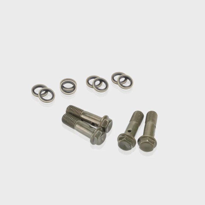 4 Pcs/lot Motorcycle Hydraulic Brake Hollow Screw M10 X 1.25 Double Banjo Bolt For Hydraulic Brake