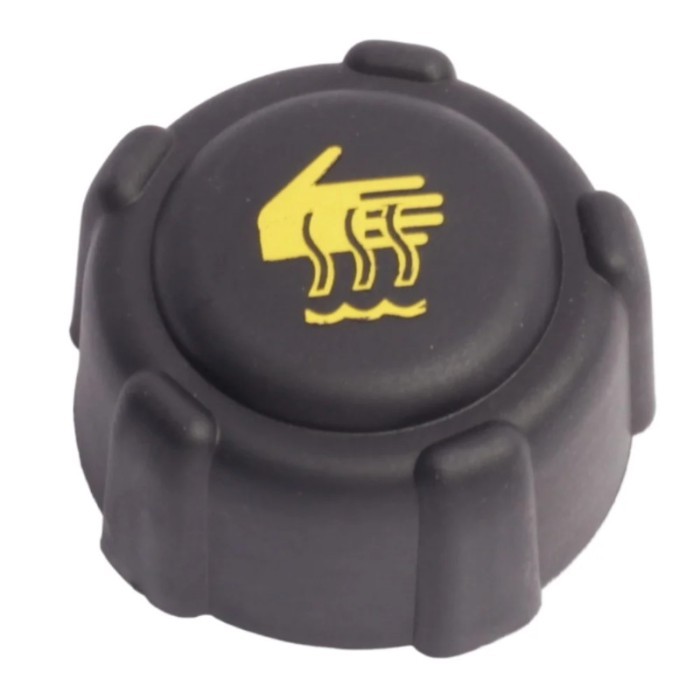 21430-AX30A-999 China Genuine Coolant Reservoir Tank Cap Water Tank Cover for Nissan Qashqai 2008 0