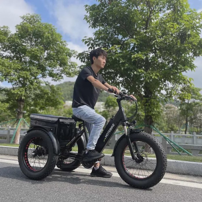 3 Wheel Electric Bike Fat Tire Electric Bike 20 26 Inch 36V 48V 250W 350W 500W 750W Electric Tricyc