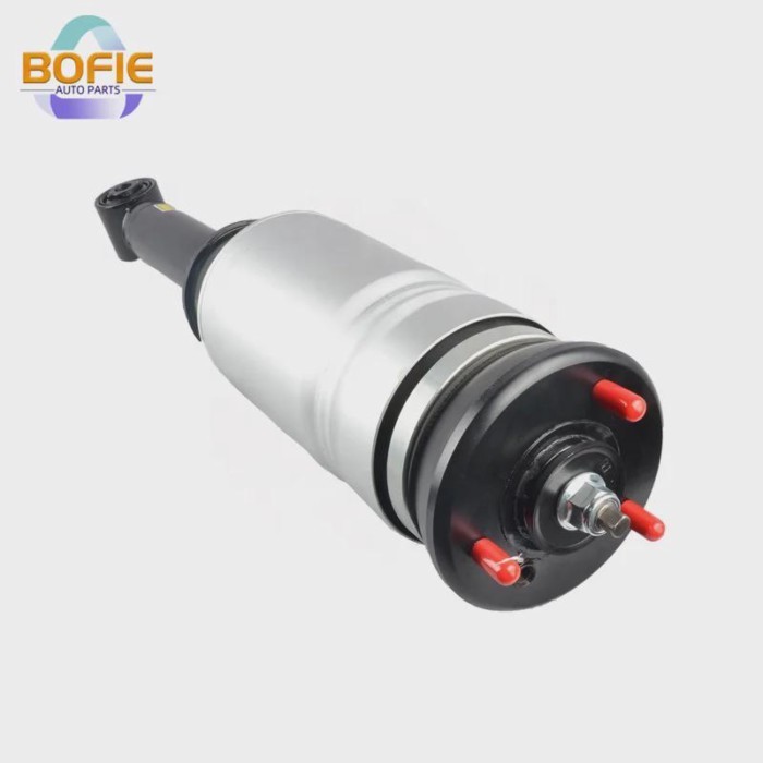 Front Left/Front Right RNB501220 RNB501180 LR013930 LR014194 LR018398 Air Suspension Strut Shock Fo