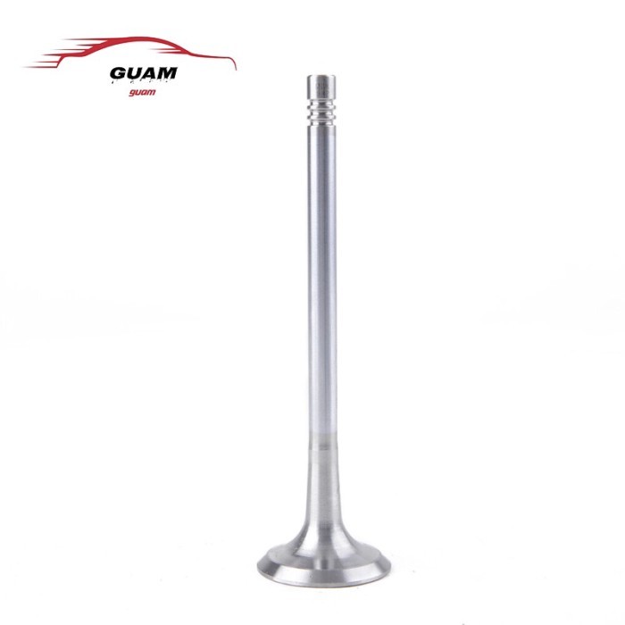 95810532100 V6-3.0T Intake & Exhaust Valve Set Fit For AUDI A4 A5 A6 Q5 95810532220