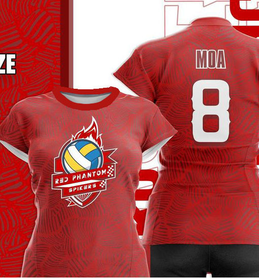 MUX-Free custom ชื่อและหมายเลข2025 VOLLEYBALL New Jersey - Activewear เสื้อสําหรับวอลเลย์บอลย์กีฬาแล