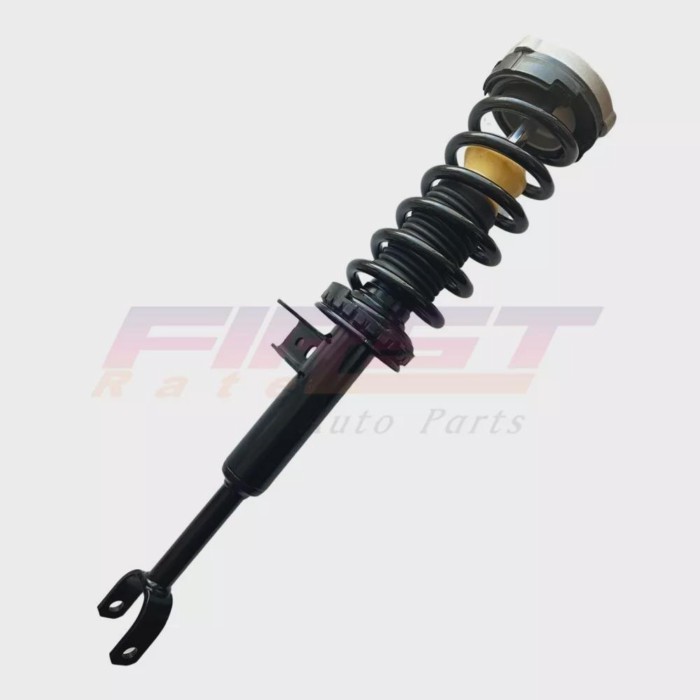 2* Pair Front Shock Struts Assembly Fit BMW F07 530i 535i 520d 550i GT 2WD 10-17