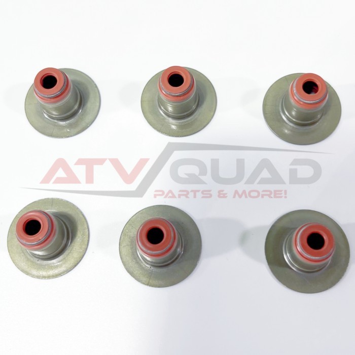 6PCS Valve Stem Seal for Sea-Doo GTI GTR GTS GTX RXT RXT-X RXP RXP-X Fish Wake 130 155 170 230 300