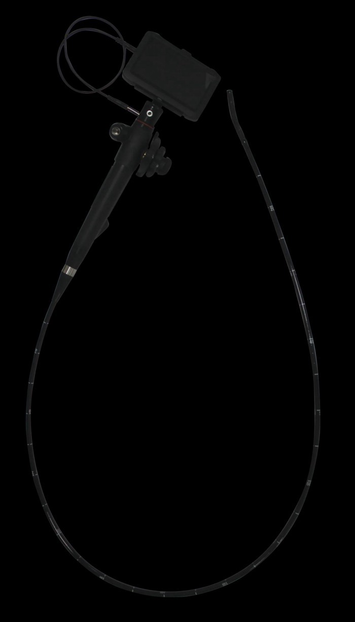8.0mm 9.8mm 12.8mm 14.0mm Pet Fiber laryngoscope  Video Pharyngoscope for animals