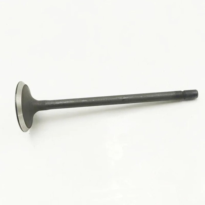 16PC SH0112111 SH0-112-111 SH0112121A SH0-112-121A SH01-12-121D Inlet Outlet Valve for Mazda 3 6 CX