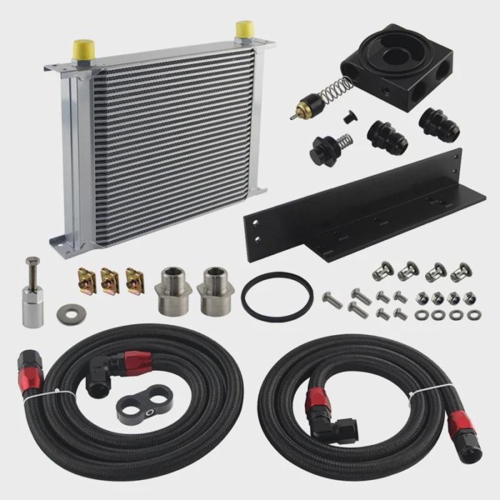 Oil Cooler Kit 30 Row AN10 Bolt On Filter Thermostat Fits for Nissan Fairlady 350Z Z33 03-08 3.5L/3