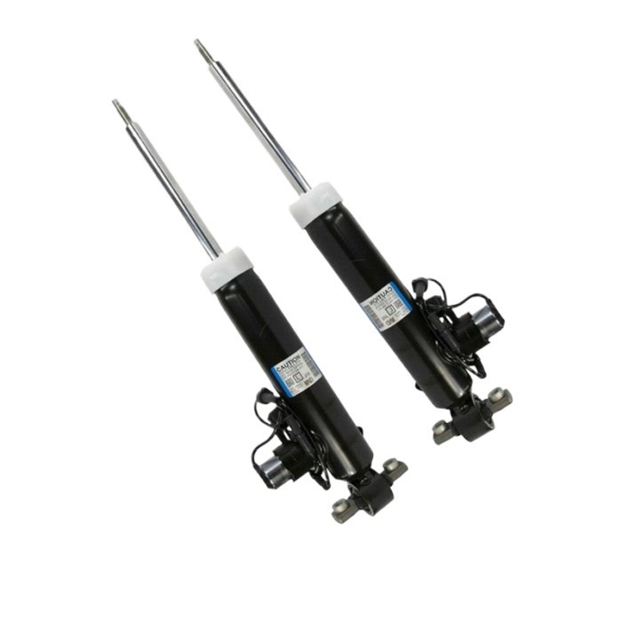 Pair of rear left suspension shock absorbers for Lincoln MKZ 2013 - Electric -