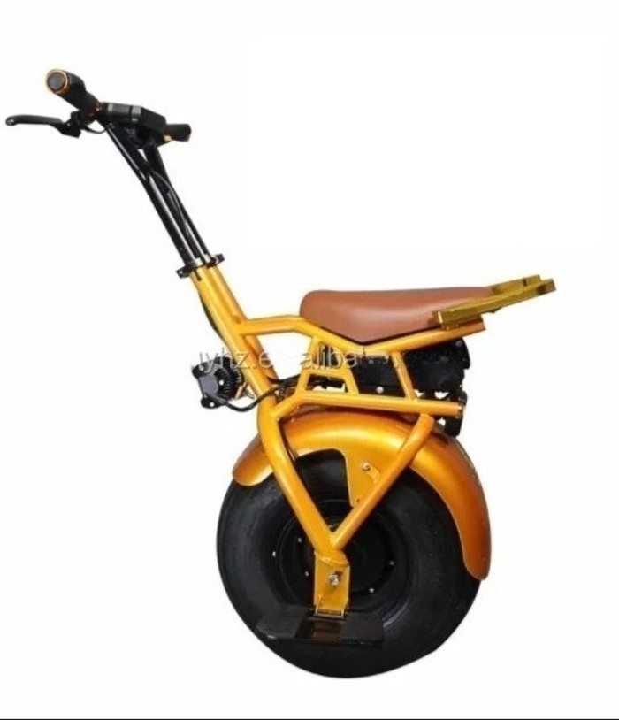 1000W 500W Electric Unicycle, Smart Self Balancing Scooter with APP 2024 Upgraded One Wheel Hoverbo