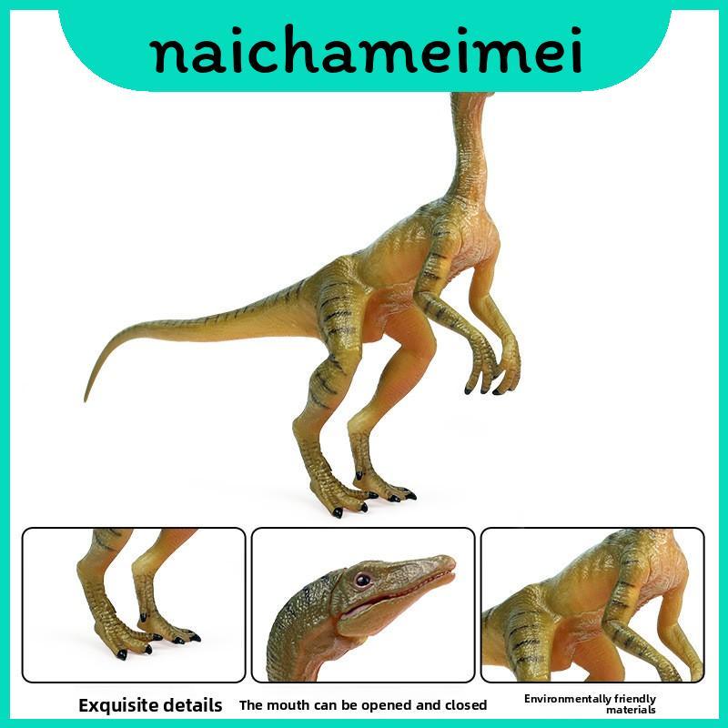 Compsognathus ไดโนเสาร์และ Eoraptor Lunensis รุ่นจอแสดงผลแบบคงที่พร้อมขากรรไกรที่สามารถเคลื่อนย้ายสํ