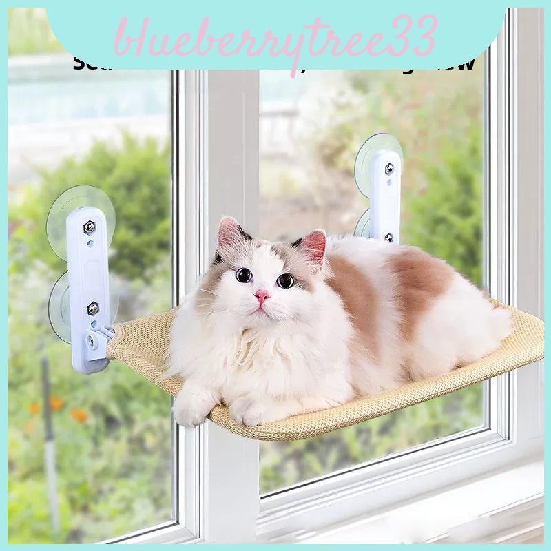 พร้อมเก้าอี้ดูดแมวสําหรับอาบแดดและพักผ่อน Scenario ในร่ม