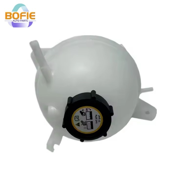 OEM FS1-8K218-AC Water Expansion Tank Assy  For JMC New Condition For Territory Engine Parts