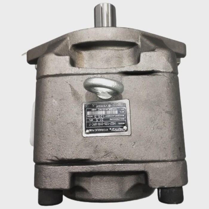 Sunny HG0 HG1 HG2 Single Gear Pumps HG2-80-01R-VPC High Pressure Oil Pumps HG2-100-01R-VPC  Interna