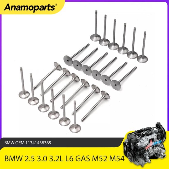 Engine Parts 24pcs Intake & Exhaust Valve Kit Fit 2.5 3.0 3.2 L M52 M54 For BMW 3 5 X3 X5 Z3 Z4 2.5