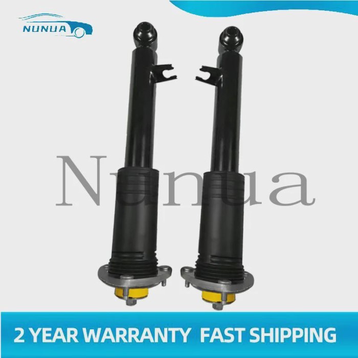 Rear Shock Absorber For BMW X5 E70 3.0d 3.0sd 3.0si 4.8i xDrive X6 E71 Car Suspension Strut Assembl
